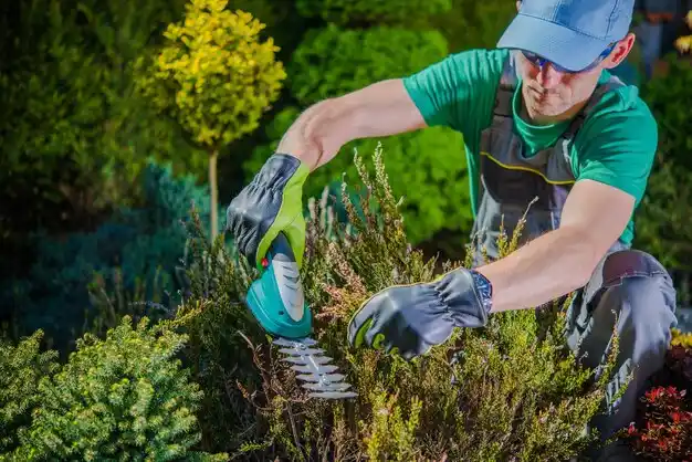 landscaping services Norton